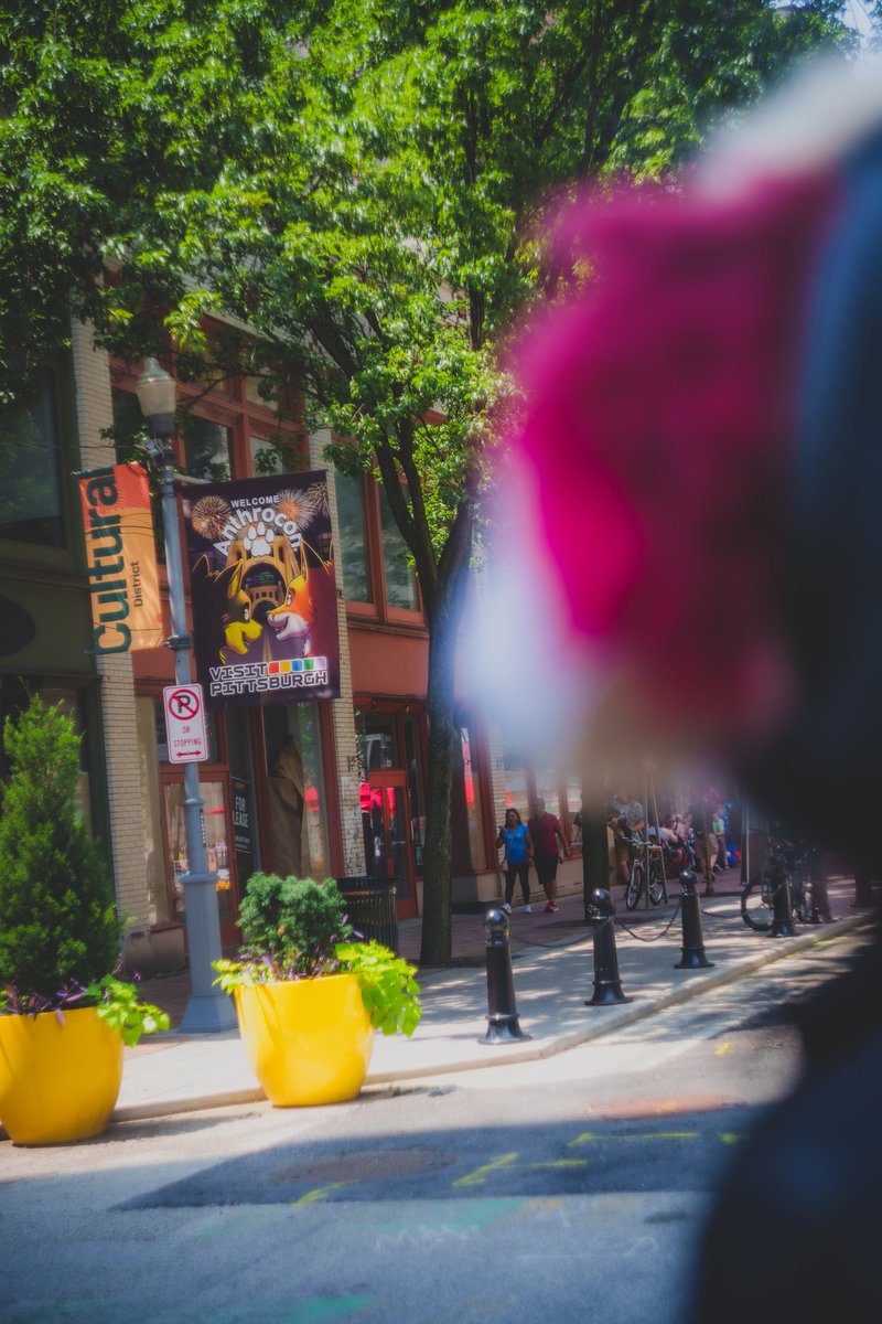 whatareweinfur's tweet photo. Who is all going to #Anthrocon? We are missing it so much 🥺 https://t.co/u4uxHLxASk