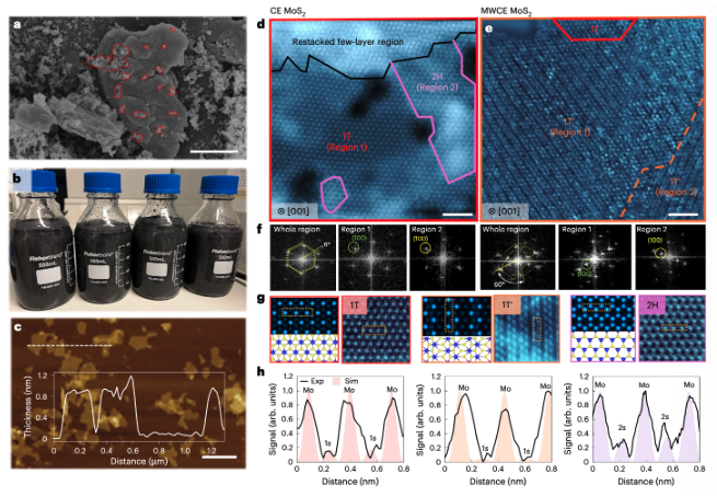ChhowallaL's tweet photo. Check out our latest paper "Scalable manufacture of nearly pure-phase metallic MoS2nanosheets" in Nature Materials!
@NatureMaterials 
https://t.co/wQit3NVJE7 https://t.co/XUsxQQPpq3
