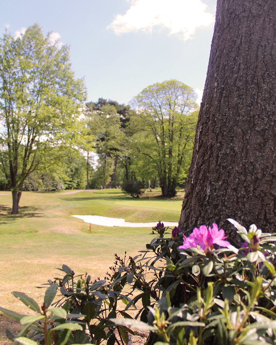 Silvermere Golf tweet media