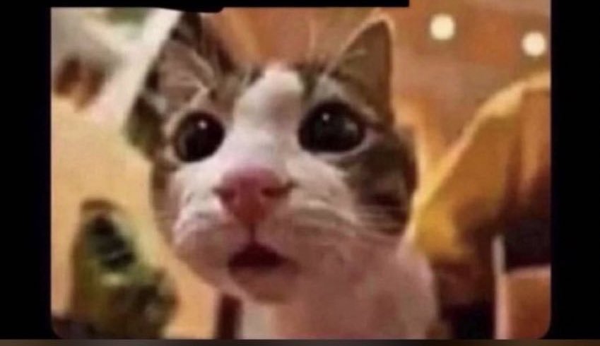 عبدالرحمن بن أحمد🏝️ tweet media