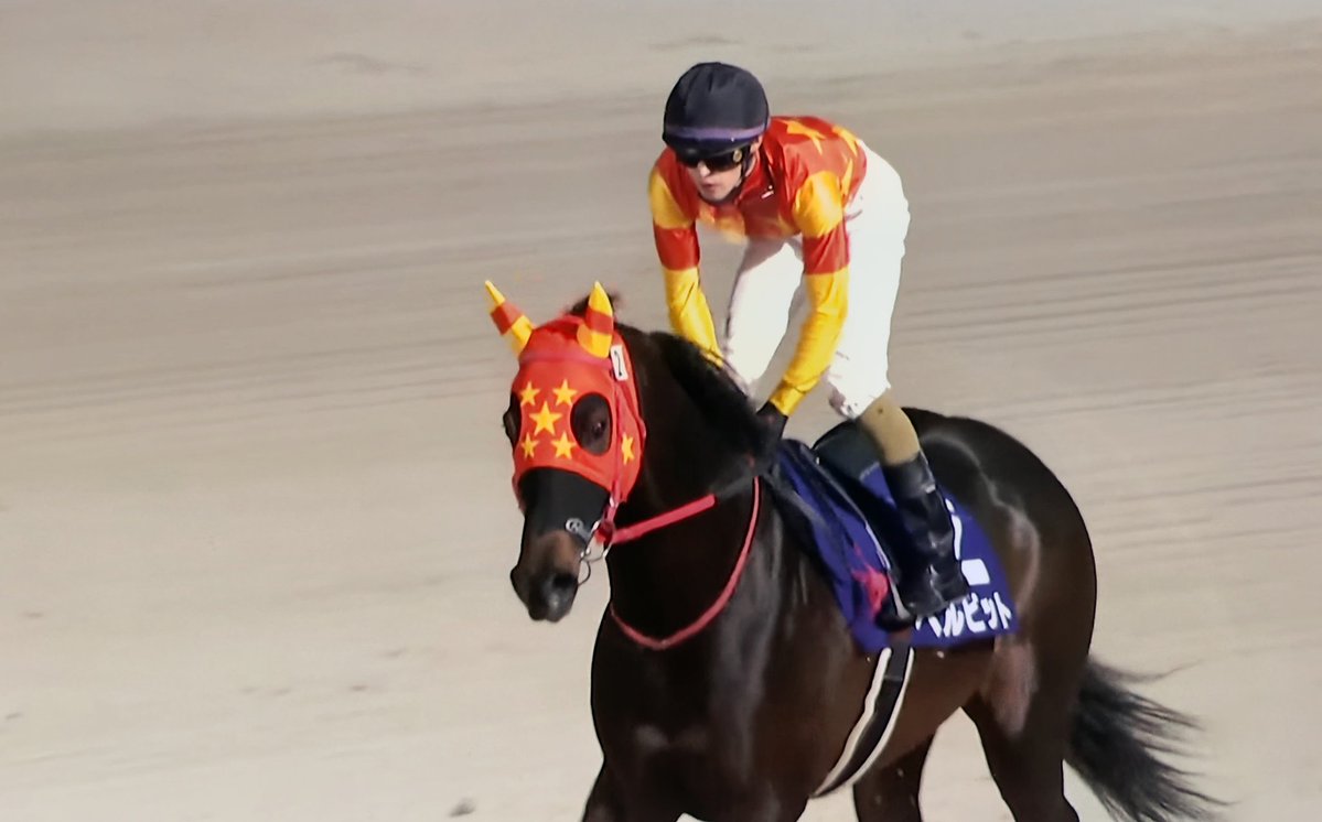 2026.5.6 門別競馬 12R コスモバルク記念 早め出て、ほぼ逃げの状態