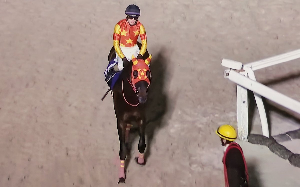 2026.5.6 門別競馬 12R コスモバルク記念 早め出て、ほぼ逃げの状態