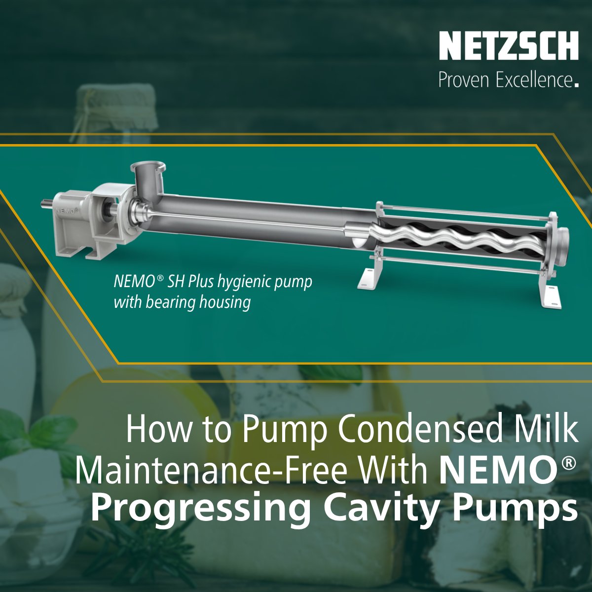 NETZSCH Pumps & Systems USA tweet media