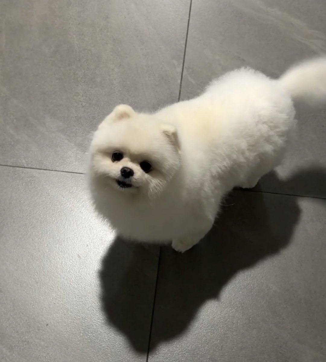 짱이는 진짜 너무 귀여운 생명체야... 대박아 잘 지내니