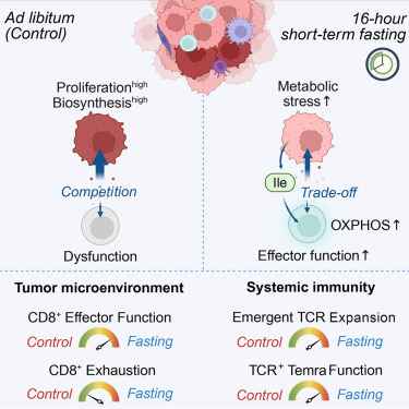Cell Metabolism tweet media