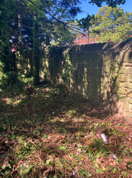 NEPS_Payback's tweet photo. Fantastic work by people on Probation working in Jesmond.

The Team removed the broken fence and cut back the overgrown ivy and shrubs. 

#CommunityPayback #ProbationNorthEast https://t.co/1PlmScyHIp