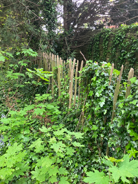 NEPS_Payback's tweet photo. Fantastic work by people on Probation working in Jesmond.

The Team removed the broken fence and cut back the overgrown ivy and shrubs. 

#CommunityPayback #ProbationNorthEast https://t.co/1PlmScyHIp