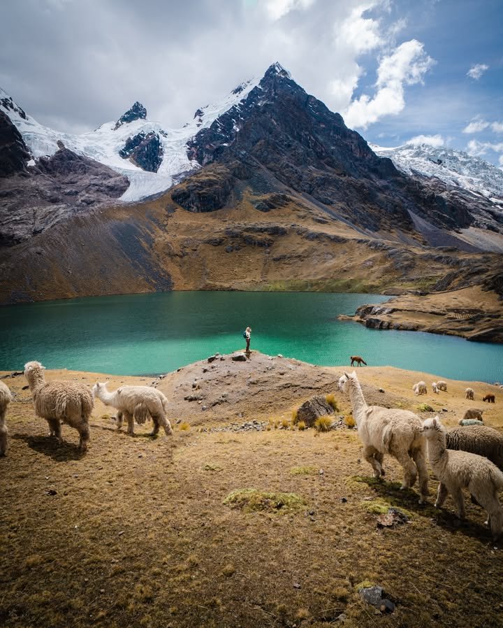 roamtheplanet0's tweet image. Peruvian Andes,🇨🇱