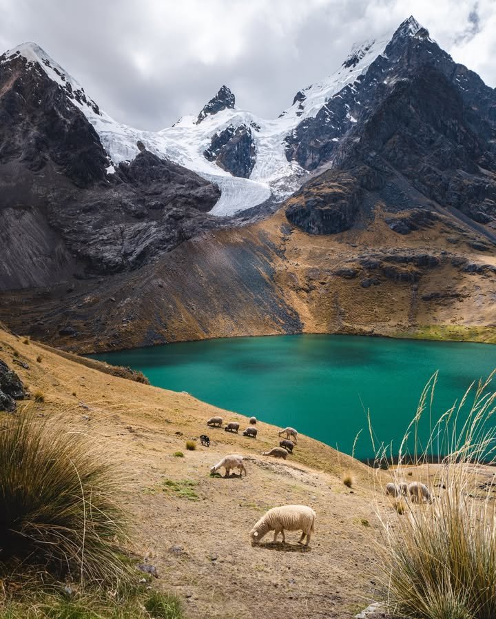 roamtheplanet0's tweet image. Peruvian Andes,🇨🇱