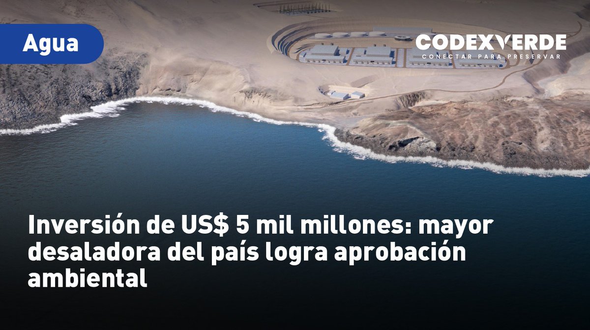 Codexverde tweet media