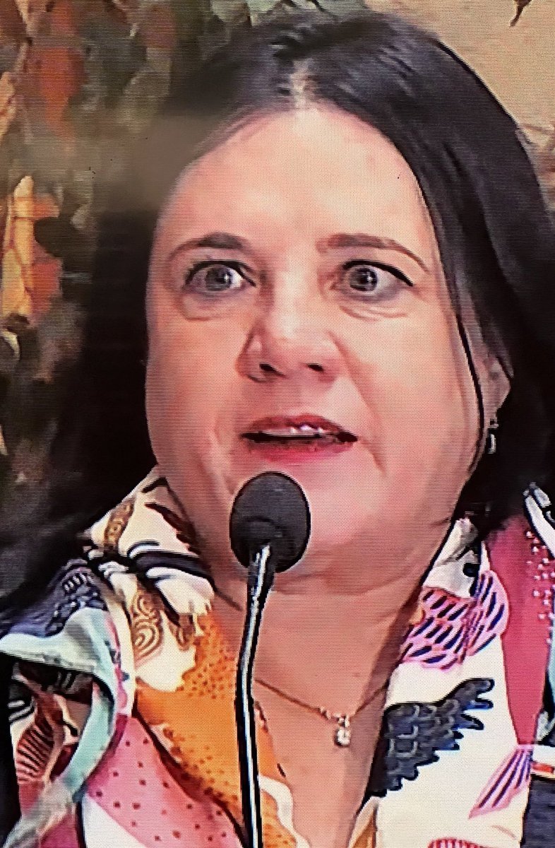 Vulgarcito tweet media