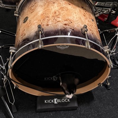 Nitty_Paraditty's tweet photo. #NewProfilePic https://t.co/s4Ocfv4YIe