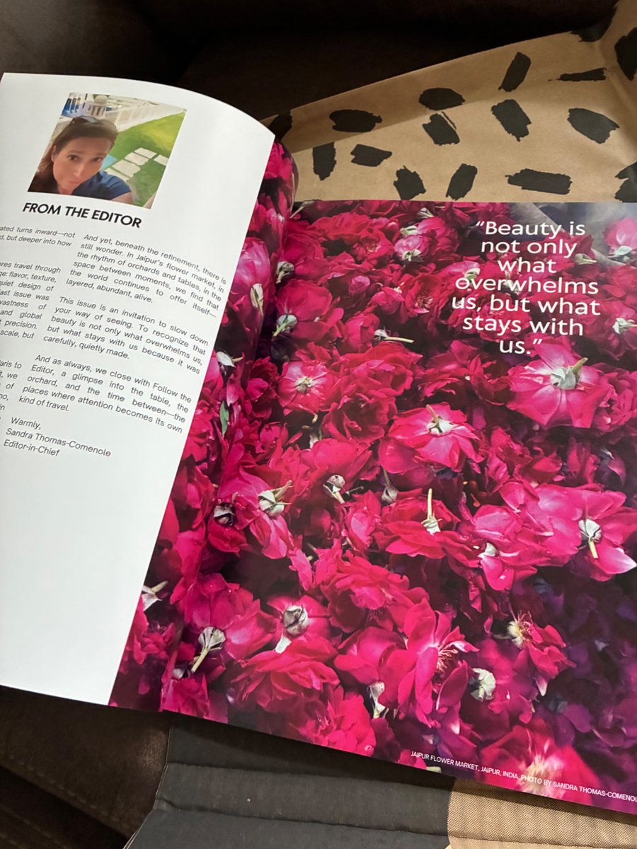 Runenfly's tweet photo. The eagle has landed! Check out the latest issue of Curated Travel Magazine https://t.co/Z1KNhlEBkU https://t.co/X59y7qLn67