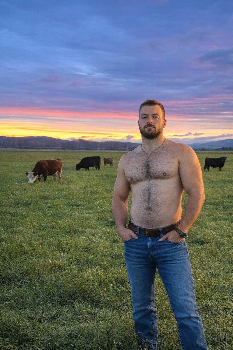 En esta foto hay 4 vacas y un toro