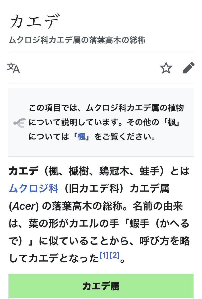 オオクワガタ販売・オオクワフィールド tweet media