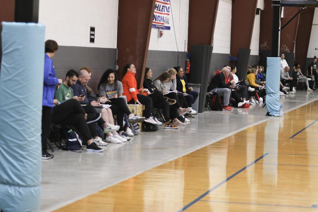She Hoops Basketball tweet media
