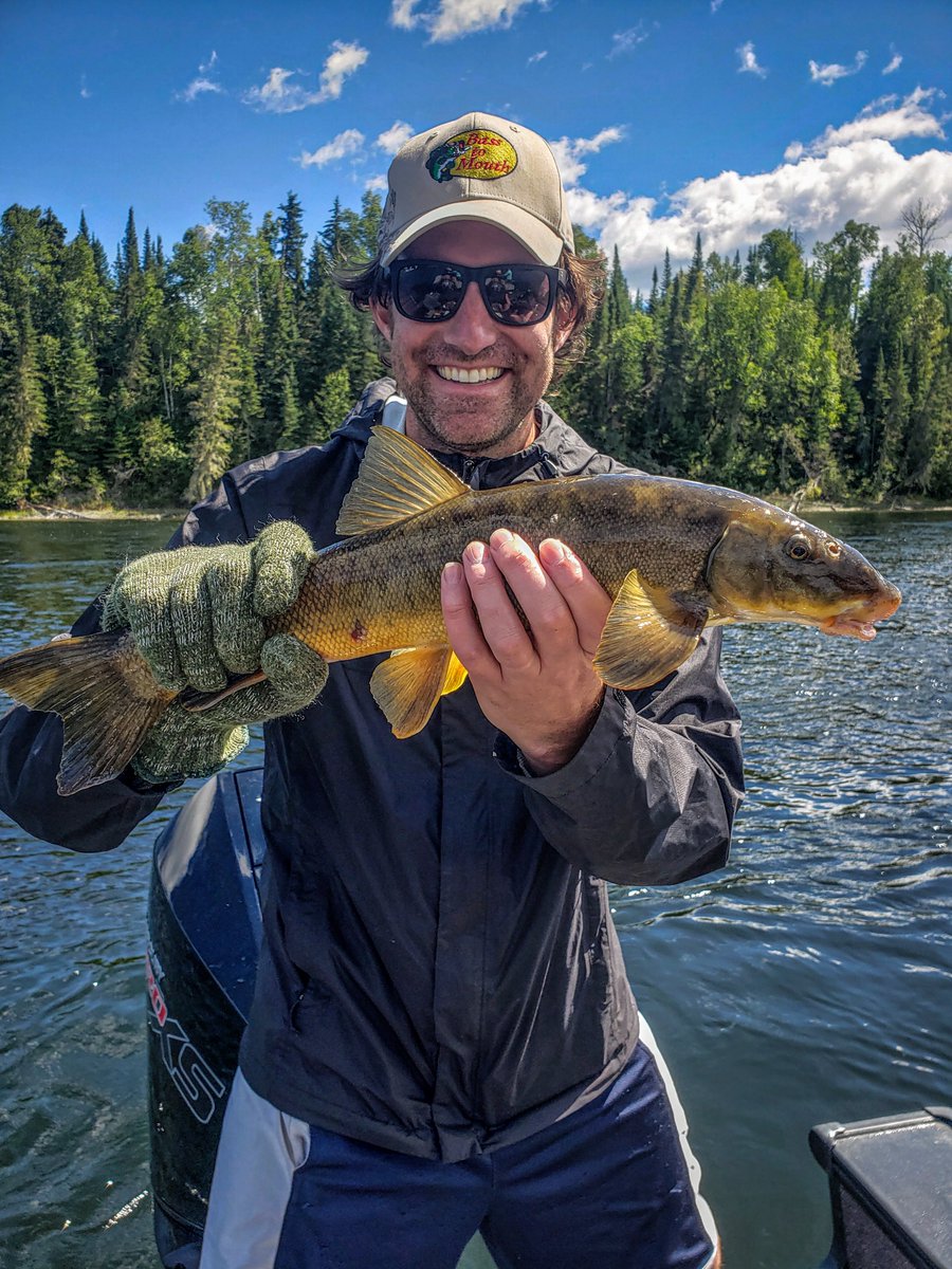 Ontario Out Of Doors tweet media
