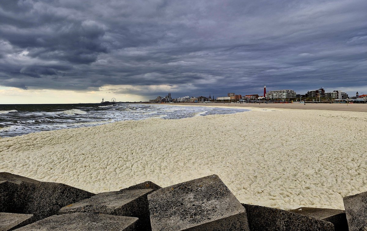 DTpersfoto's tweet photo. Een dikke laag 'meisop' bij het noordelijk havenhoofd van Scheveningen vanavond. Op 11 mei 2020 verloren 5 surfers hun leven in n soortgelijke algen massa. Sindsdien kijk ik er heel anders naar. https://t.co/NgjuQv9jUG