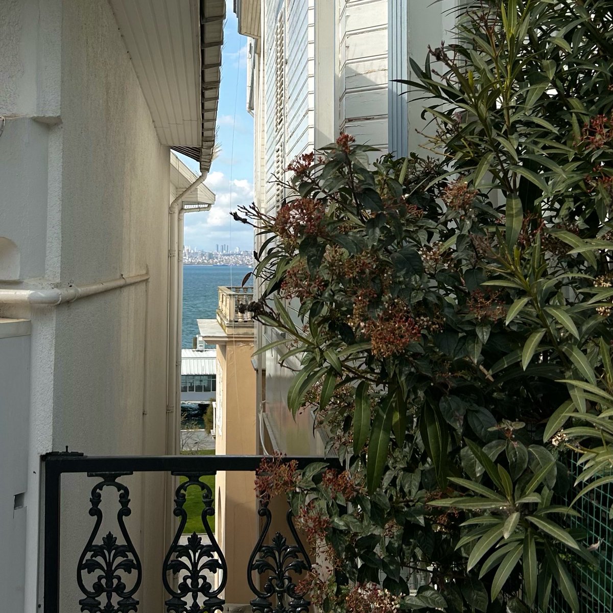 bbeyza78's tweet photo. Büyükada ♥️ https://t.co/uXzP9YK0Js