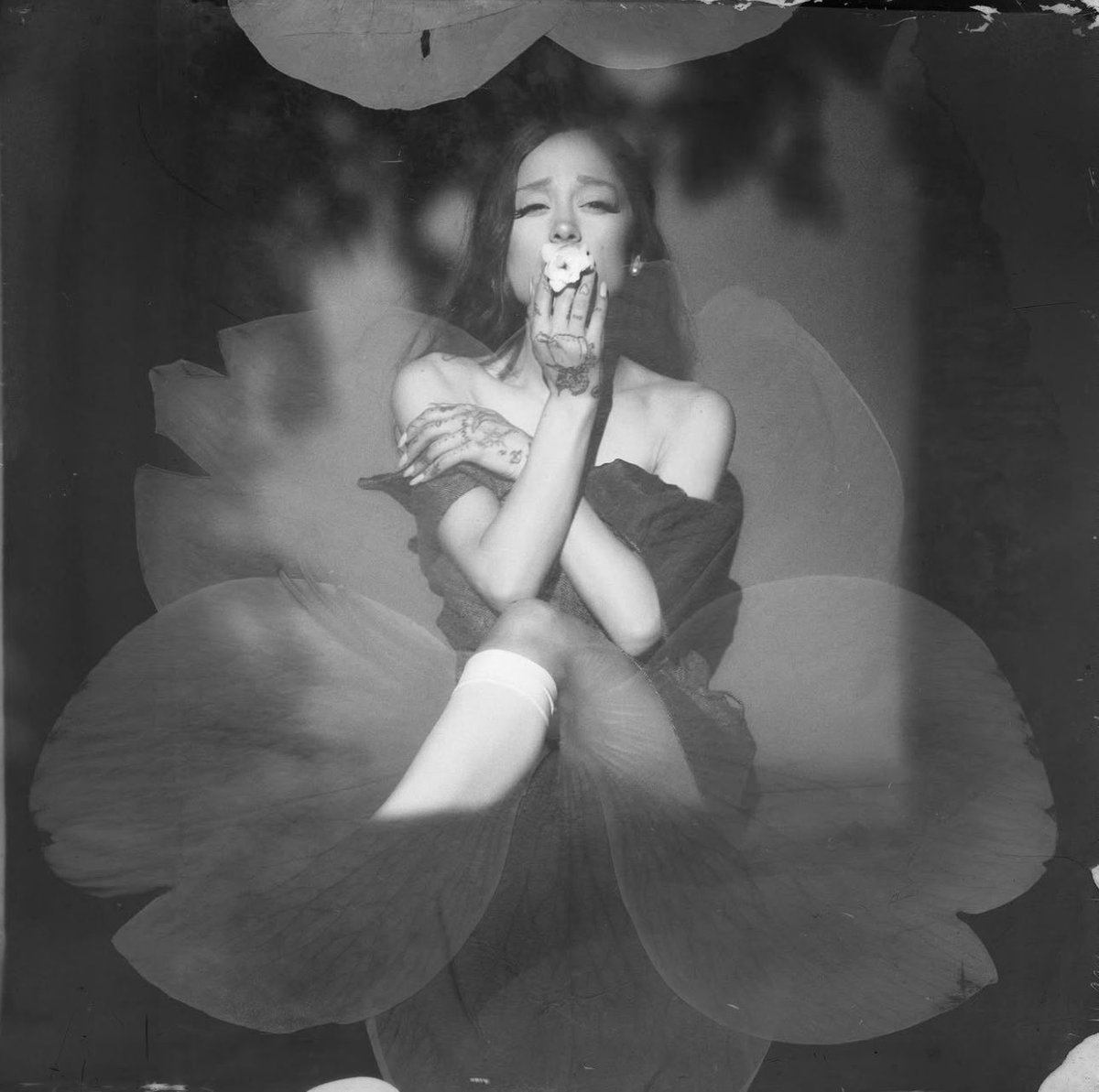 Olivia Rodrigo Charts tweet media
