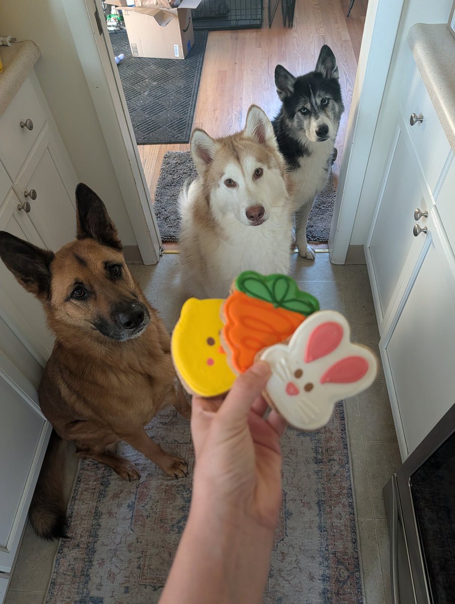 Schmil_Dog's tweet photo. @tru_fru They'll sit really nice for trü frü https://t.co/v9ROPvxlFF