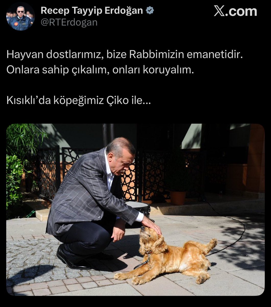 belhaberr's tweet photo. AKP milletvekilinin sokak hayvanlarına hakaret yağdırdığı sırada, Cumhurbaşkanı Erdoğan’ın “Hayvanlar bize Allah’ın emanetidir” paylaşımı ortaya çıktı.

Vatandaşlar, “AKP milletvekili, AKP Genel Başkanı’nı dinlemiyor…

Bu adam nasıl milletvekili olmuş?” dedi. https://t.co/diH9eazIlY