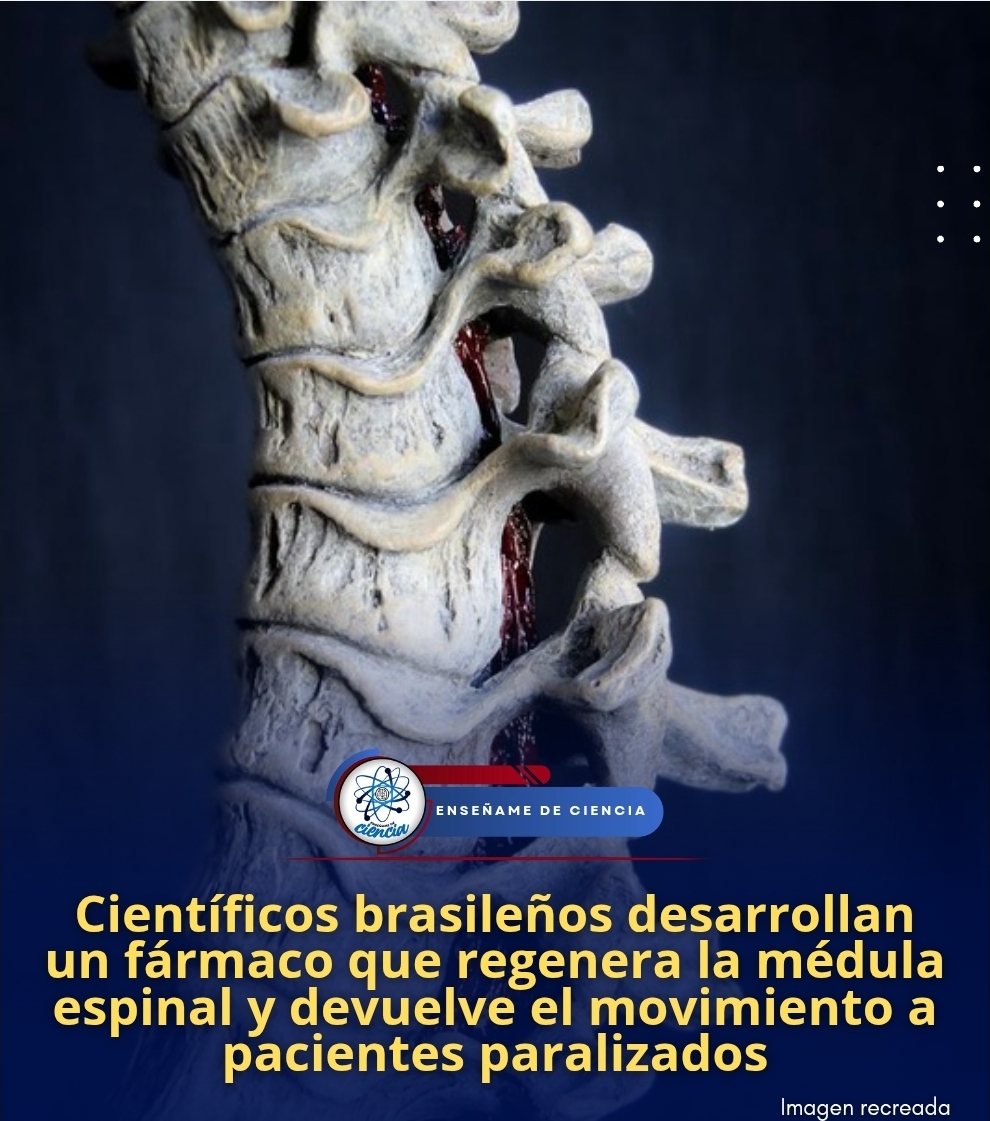 Enséñame de Ciencia tweet media