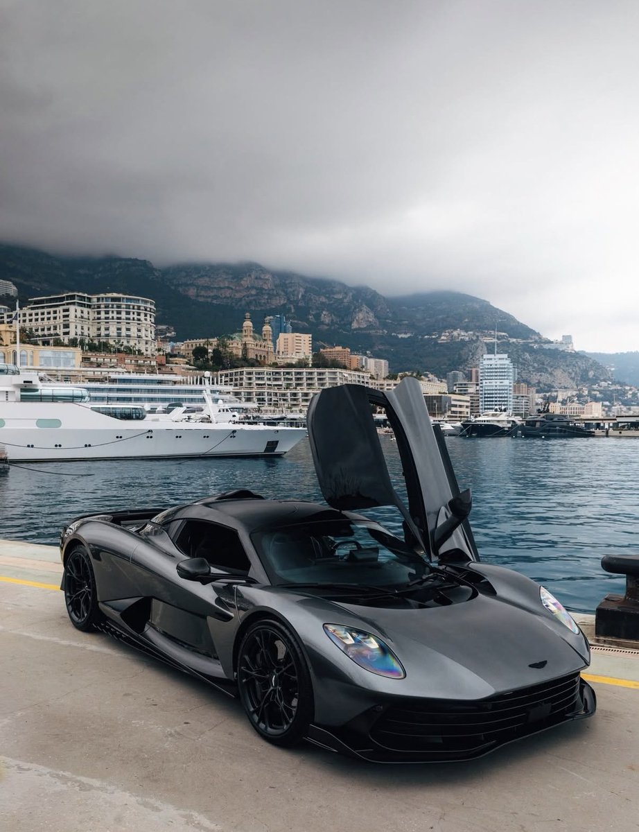 Elite Carsgasm tweet media