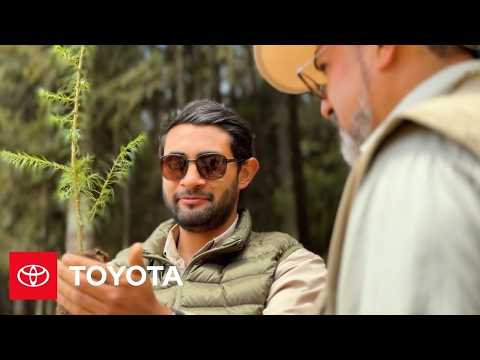 Santa Cruz Toyota tweet media