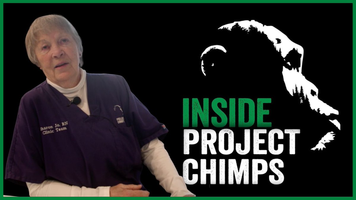Project Chimps tweet media