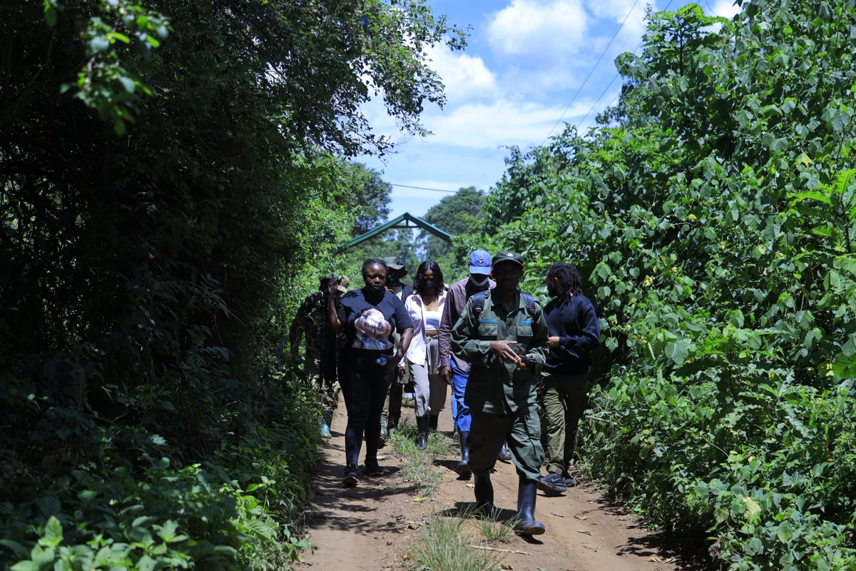 Uganda Wildlife Authority tweet media