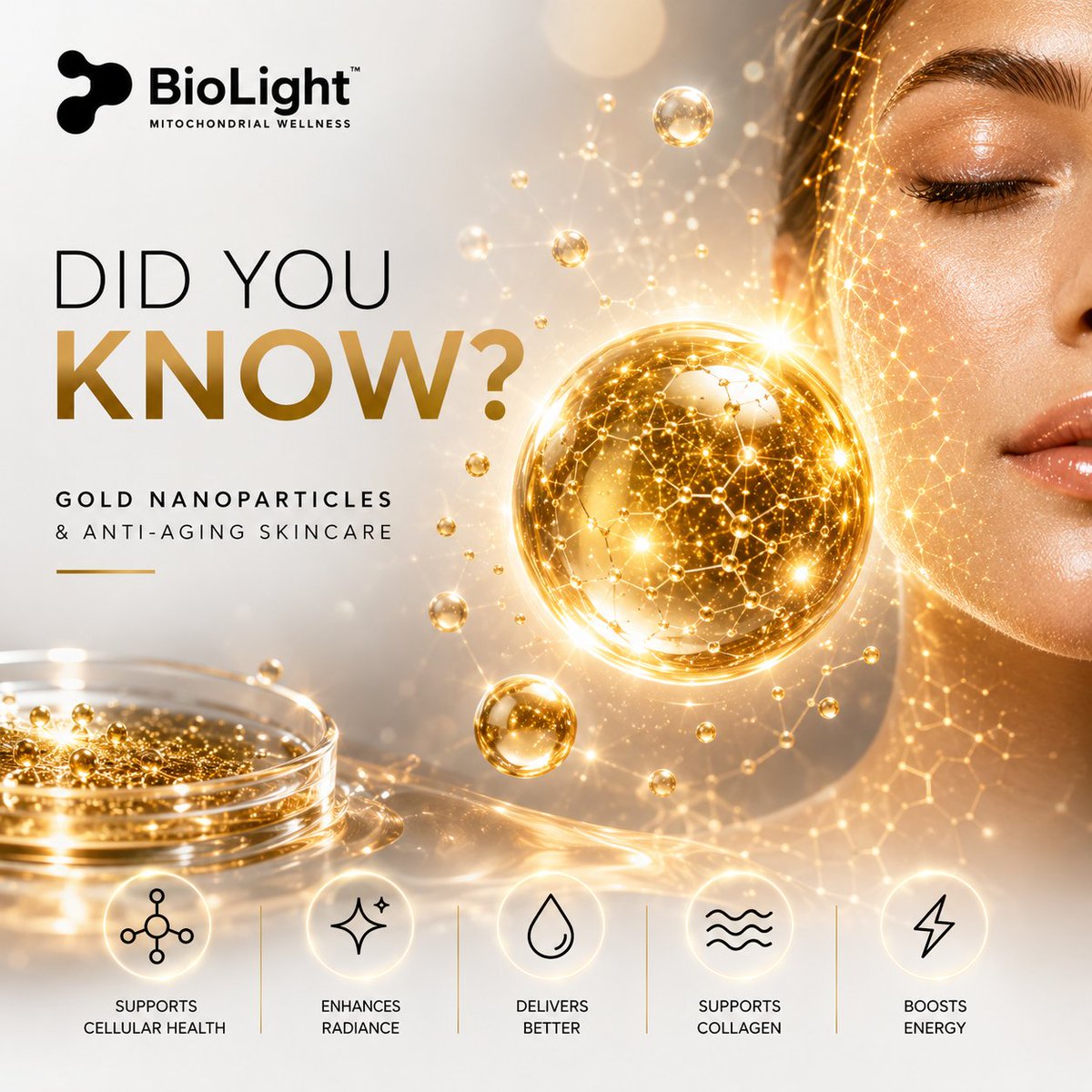 BioLight tweet media