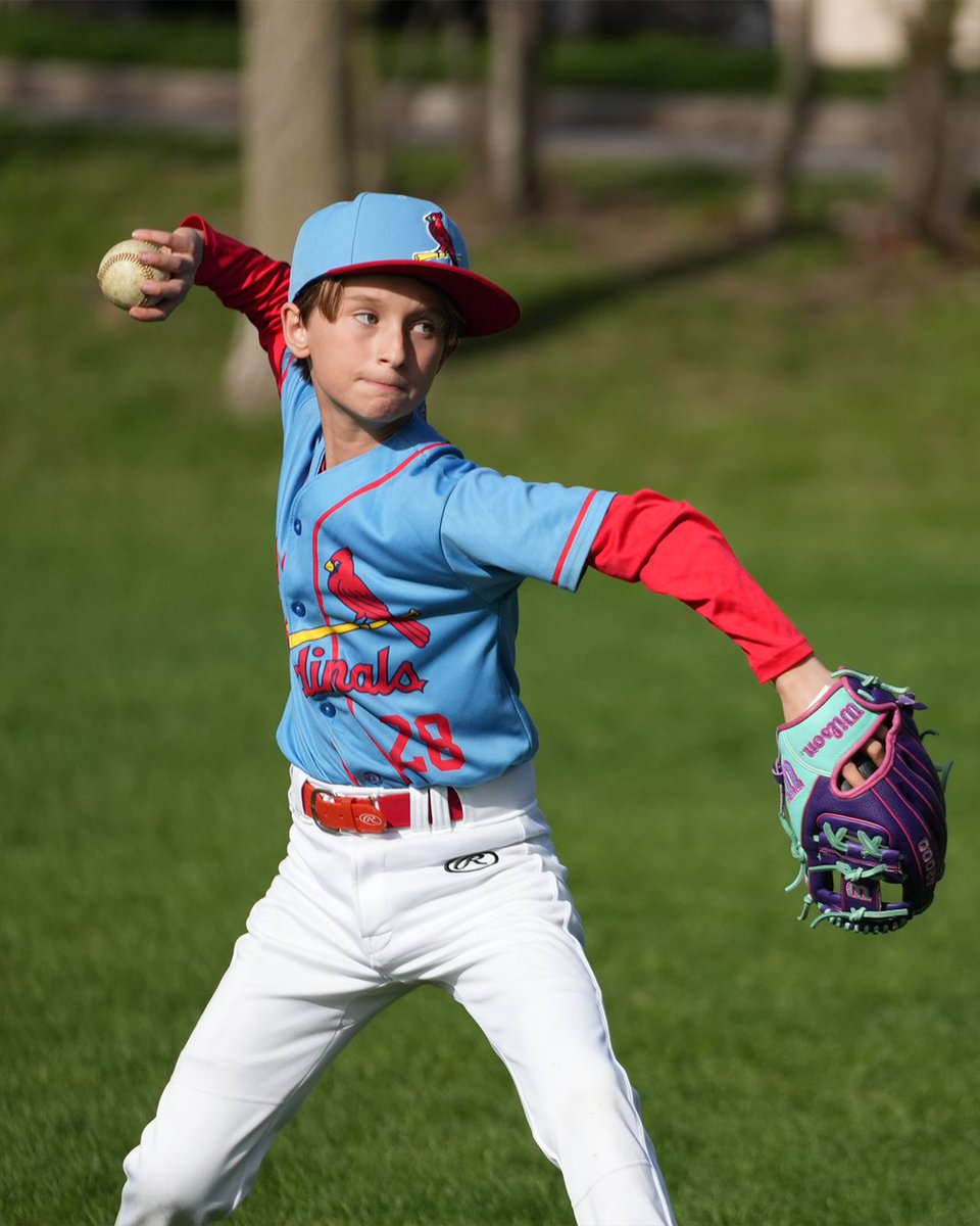 Baseball Ontario tweet media