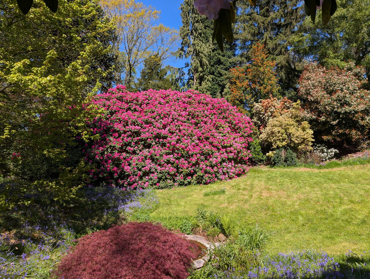 ChesGdnsTrust's tweet photo. Last week, members of CGT enjoyed a visit to #RodeHall, the home of the Wilbraham family since 1669.
Its Grade II-listed park and gardens are one of the finest in Cheshire, and we had a perfect day in which to enjoy the gardens in spring.
#Cheshiregardenstrust
πΈ @a1isonmoore https://t.co/XjlRQ8g7DS