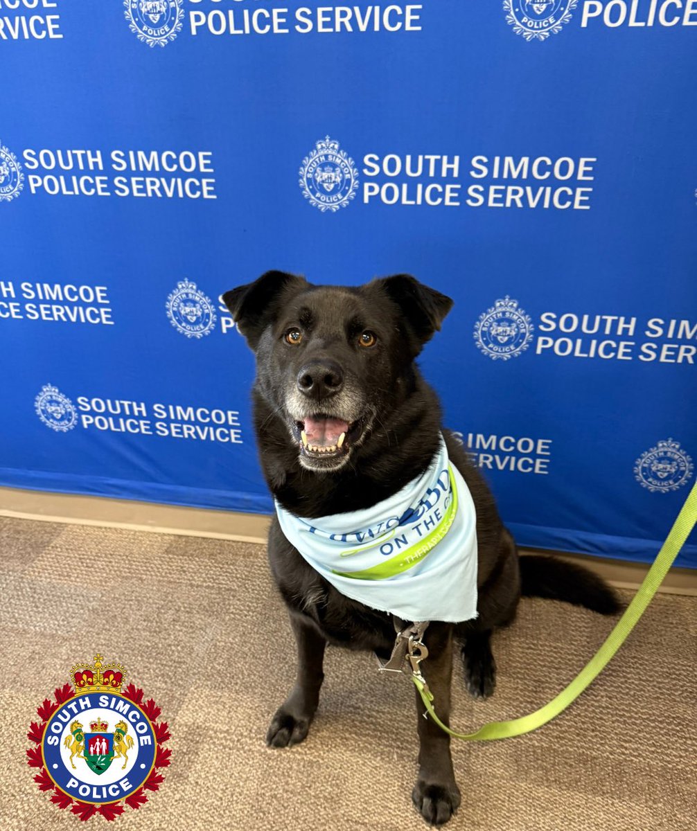 South Simcoe Police tweet media
