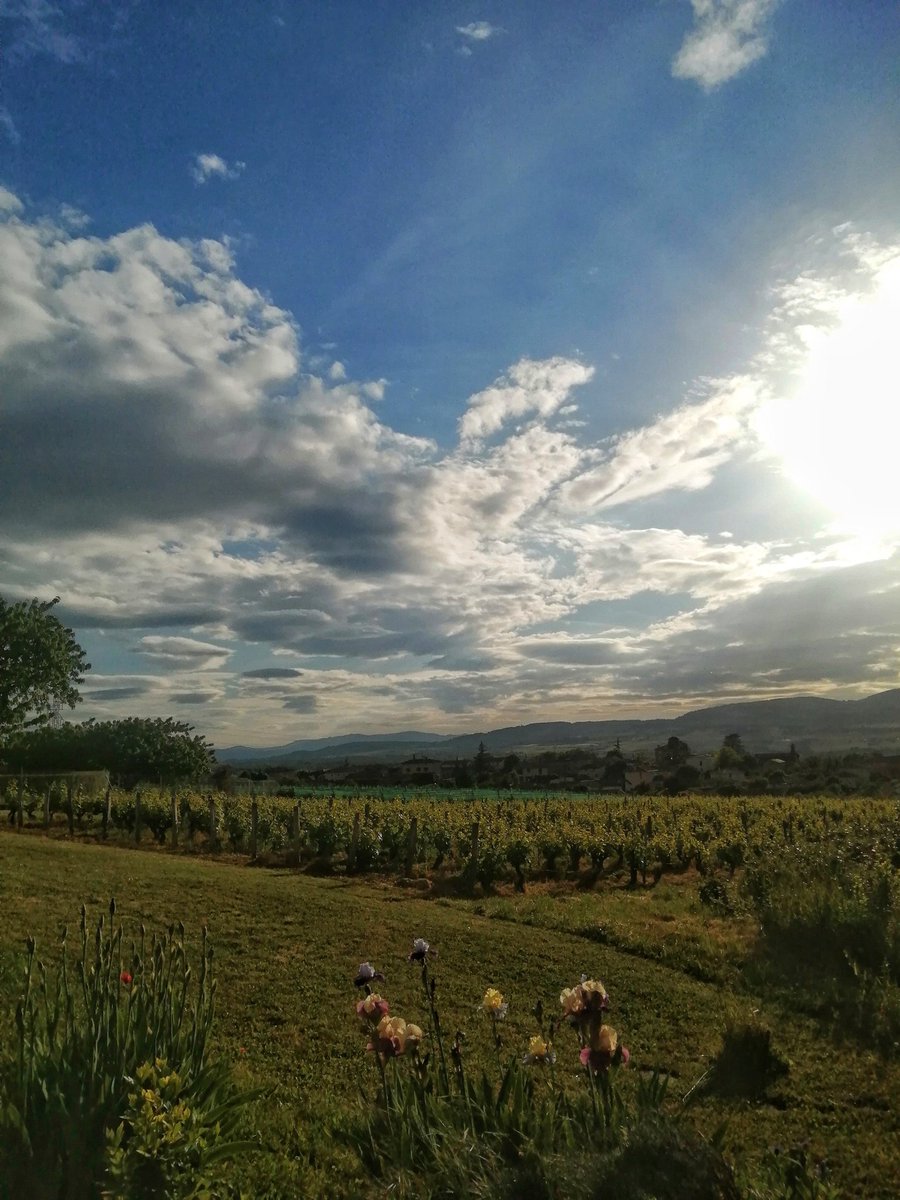 Je vous offre Le moment où on a eu une éclaircie 😁 
... Entre des pluies soutenues, de l'orage avec quelques mini grélons 

(Perso, je trouve que la saison " je scrute le ciel, observe les orages et croise les doigts" commence un peu tôt 🫩 )