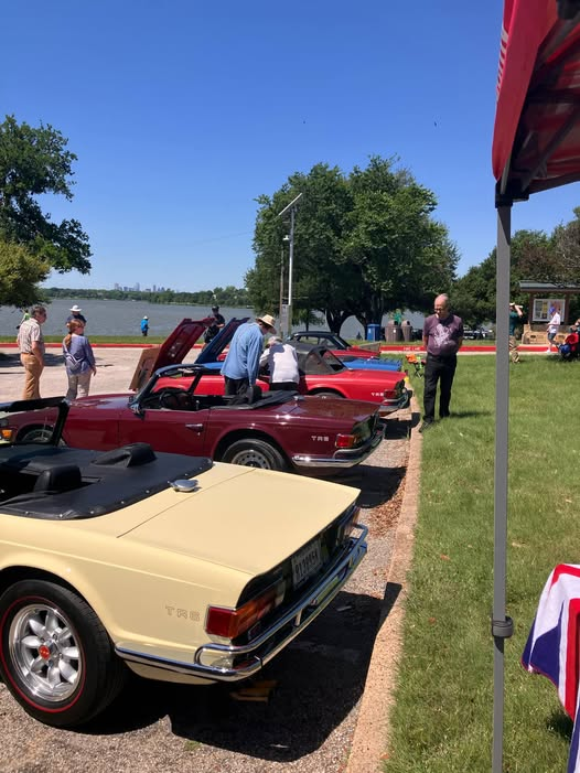 d6trsix's tweet photo. D6, the largest group of the All Euro Car Show in Dallas https://t.co/QdPW5g2fbn
