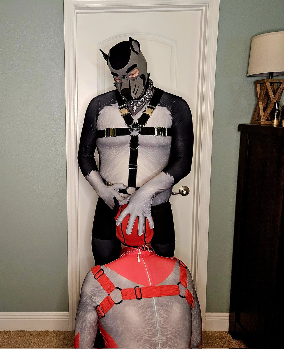 Knotty_Dogs's tweet photo. Your bratty pup can't sass you when you shove its muzzle full of your bone 🐶🍆🐶 https://t.co/dFunw06sWi