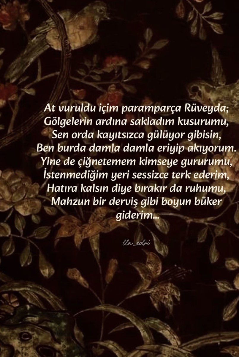 asliyiimm's tweet photo. https://t.co/VY6YuBkqrp