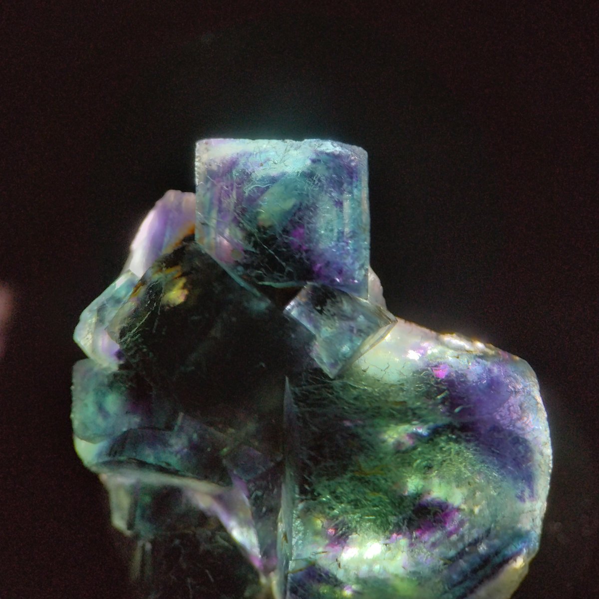 sinsia934111's tweet photo. Fluorite,
Butterfly Pocket､
Okorusu Mine､
Namibia

先日のげんかつぎさん(@genkatsugi2)のGWデーで購入
透過光がめっちゃ綺麗、直上から光を当てると細かい傷や凹みが目立つ感じ
クリーニングはコレが精一杯だった😭

OkorusuのFluoriteに沼らないよう注意しないと・・・ https://t.co/NrwW6C7Nmr