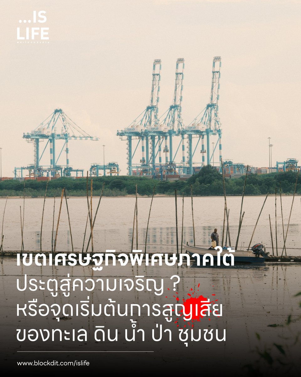 Islife.WriteonEarth tweet media