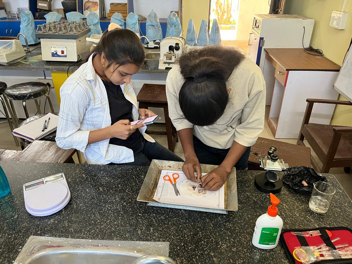 profrahulk's tweet photo. Today, I demonstrated the systematic dissection of a fowl’s eye to locate the pecten to the students of BSc Semester II Zoology (Major). First, I demonstrated the procedure myself, and then the students performed it independently.

@magadhuniversi1 
@india_evolution 
#zoology https://t.co/s0CEjNb6Ne