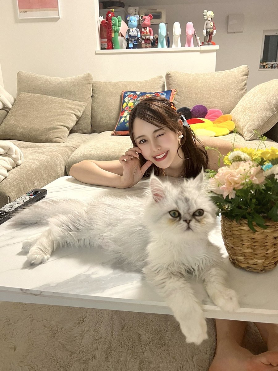音羽美奈(みなぽち)🎨🎹 tweet media