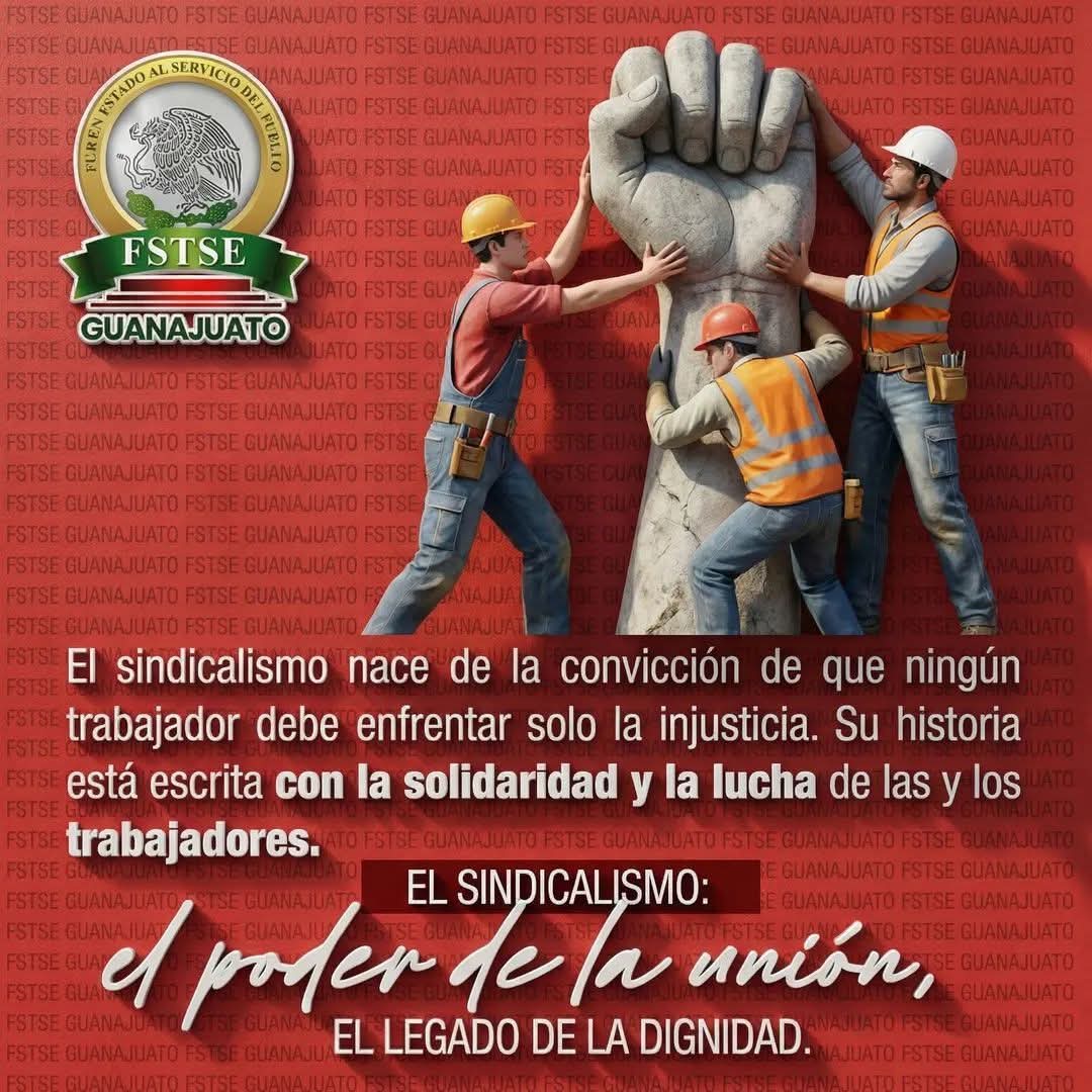 FSTSE Guanajuato tweet media