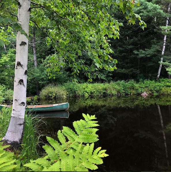 SalzAlan's tweet photo. The return of the Green...
Our pond and our woods making me want to skip going to the office and spend the day here...
#SpringHasSprung https://t.co/wPY3FHo0nD