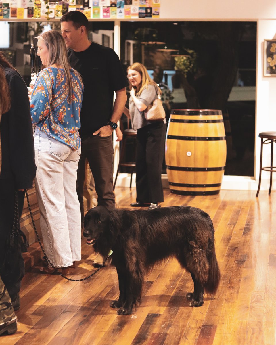 PMBrewCo's tweet photo. So… our Powder Monkey Brewing Australia home is now officially open! 🍻
Aussie friends — come down, grab a beer and check it out 👀
📍 7–9 Hill St, Camden NSW 2570 https://t.co/LfeJ9Wod2u