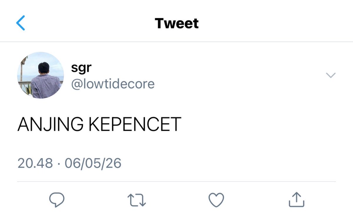 🌊 tweet media