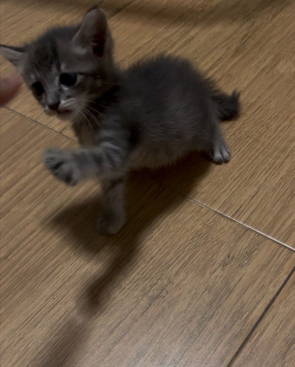 Hi Touch แหละ