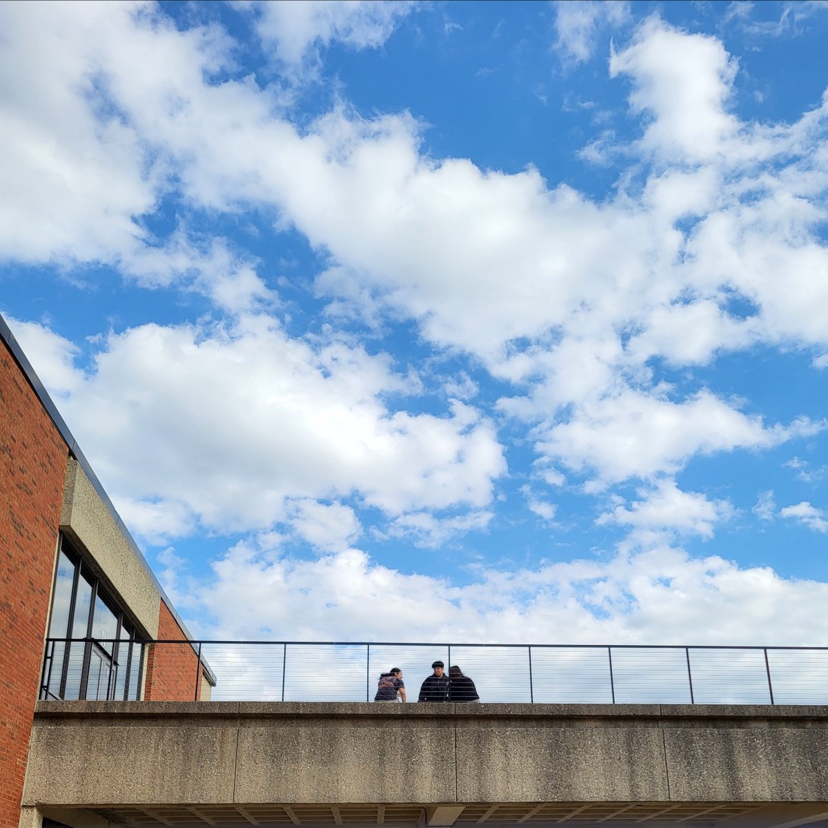 Elgin Community College tweet media