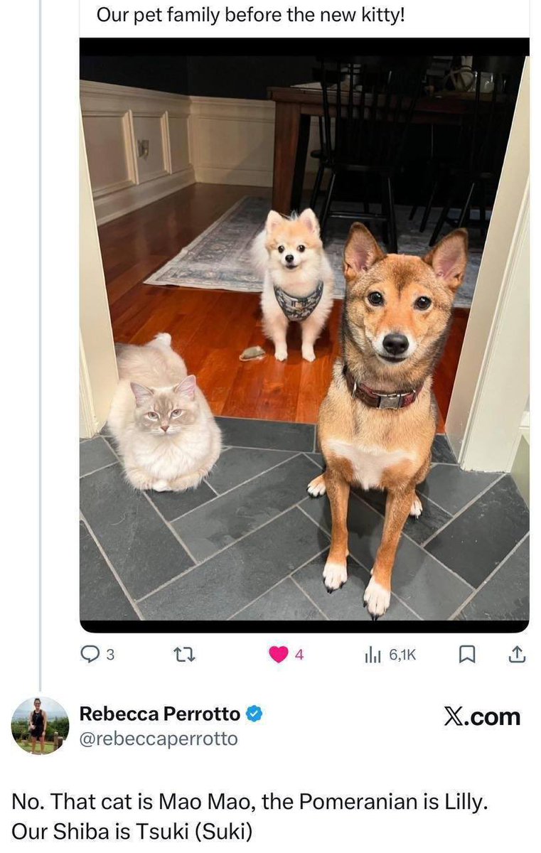 altgemfinder tweet media